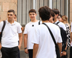 stem